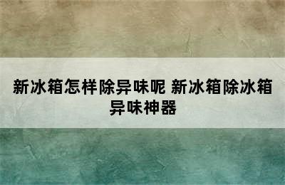 新冰箱怎样除异味呢 新冰箱除冰箱异味神器